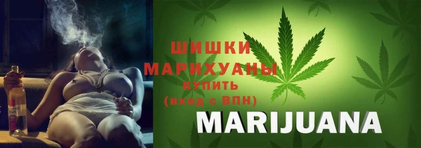 бошки Каменка