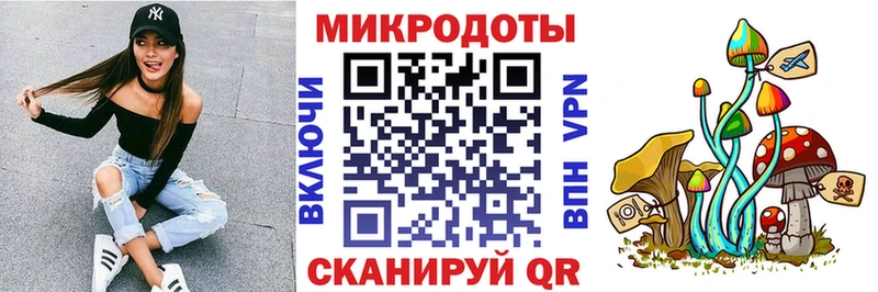 Галлюциногенные грибы Psilocybine cubensis  Карачев 