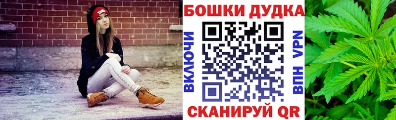 Бошки Шишки сатива  где продают наркотики  Карачев 
